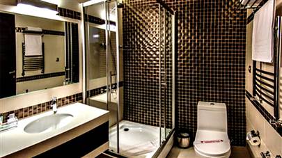 سرویس بهداشتی هتل هالی تهران سرویس بهداشتی هتل هالی تهران